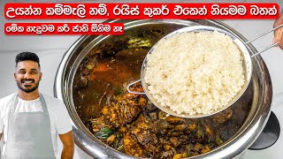 උයන්න කම්මැලිනම් මෙන්න නියම විසදුම  Delicious Rice in Rice Cooker  Easy Rice Recipe [upl. by Asilat]