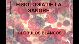 FISIOLOGÍA DE LA SANGRE LEUCOCITOS [upl. by Cuthbertson]