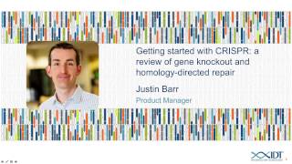 Getting started with CRISPR a review of gene knockout and homologydirected repair [upl. by Corbie]