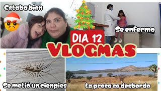 Un cienpies  Vamos de paseo Vlogmas12 [upl. by Colman]