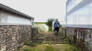 Visite de la Ferme botanique de Kerveat [upl. by Saiff85]