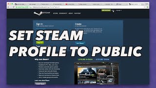 How to set your steam profile to public for SKINS  BETTING [upl. by Alisha205]