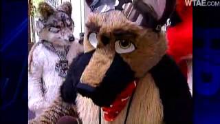 WTAE  The Furries Are Back In Town Anthrocon 2011 [upl. by Seften]