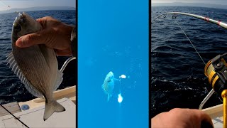 Fishing with UNDERWATER CAMERA🎣  Episode 1 [upl. by Chaudoin]