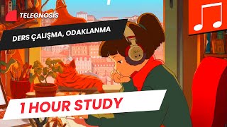 Ders Çalışma Müziği 1 Saat  Rahatlatıcı Hip Hop lofi hip hopchill beats [upl. by Nedah]