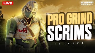 DAILY PRO GRIND SHOWDOWN IS LIVE  3 OCT 2024 🏆✨ livestream bgmilive [upl. by Lud]