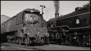 Mid Hants Railway  Summer Gala 2017 [upl. by Ahseikal]