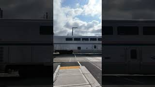 Amtrak Coast Starlight Races by Railway Crossing shorts train amtrak trainspotting railroad [upl. by Aisayt]