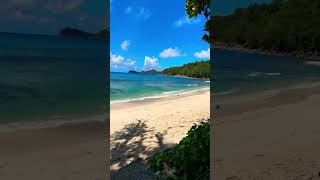 Highlight 000  223 from From Seychelles Island is live island beach live maldives [upl. by Ecnerol585]