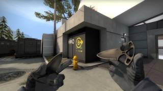 Shadow Daggers Scorched  Factory New  CSGO Skin Showcase [upl. by Myer]