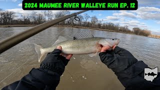 Maumee River Walleye Run 2024 Ep 12  Fish On But Need Rain [upl. by Leffen]