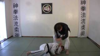 Zen Kempo Ryu Ju Jitsu Demo [upl. by Steinke133]