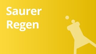 Saurer Regen Entstehung und Auswirkungen  Chemie [upl. by Lleder]