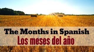 Months of the Year in Spanish  Los Meses del Año en Español [upl. by Rialc932]