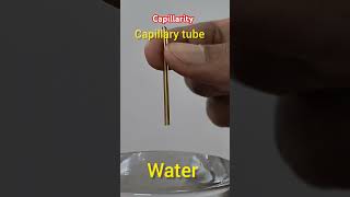 Capillarity  capillary action  केशिकात्व  surface tensionadhesive force education science [upl. by Ariaes]