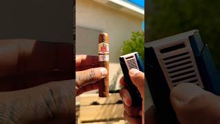 ASMR ☀️😋 Enjoying the Iconic Hoyo De Monterrey Epicure No 2 cigar asmr shorts habanos art [upl. by Anonyw]