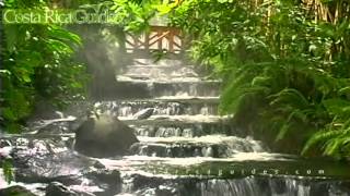 Arenal Volcano amp Tabacon Hot Springs [upl. by Lipson]