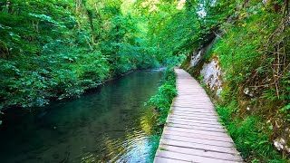 Dovedale to Milldale 26th Best British Walk English Countryside 4K [upl. by Ellie778]