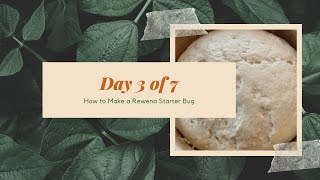 How to Make Rewena Sourdough Starter Bug  Course Day 3 of 7 [upl. by Ehctav]