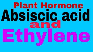 Plant HormoneAbscisic Acid And Ethylene TGTPGTNEETMScBScClass 12thClass 10thCBSE Board [upl. by Eronaele15]