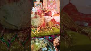 Shree Radhe Radhe 🙏🙏🙏🙏shortvideo [upl. by Bearce]