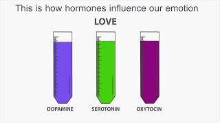 how hormones influence our emotion [upl. by Eedyak]