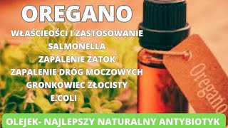 Oregano najlepszy naturalny antybiotyk Jakie cuda sprawia olejek oreganowy Dowiesz się już dziś [upl. by Sabella]