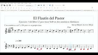 El Flautín del Pastor 2024harmonica [upl. by Cerelia283]