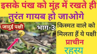 इस जादुई पक्षी का पंख मिल जाए तो छोड़ना मतइसे मुंह में रखते ही तुंरत अदृश्य हो जाओगेप्रचीन रहस्य [upl. by Niuqauj]