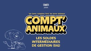 Les Soldes Intermédiaires de Gestion SIG expliqués en trois minutes – Compt’animaux [upl. by Hollah462]