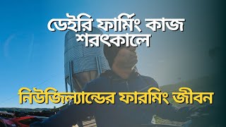 নিউজিল্যান্ডে ডেইরি ফার্মিং জব শরৎকালে  New Zealand Dairy Farming Job in Autumn  NZ Working Life [upl. by Gladys]