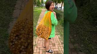 He Couldnt Believe These Were Good Hazelnuts 🌰🌰  Amazing Fresh Dryfruit shorts youtubeshorts [upl. by Yvonner]