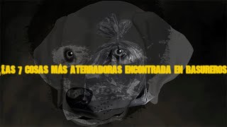 Las 7 cosas más aterradoras encontradas en basureros [upl. by Ettelegna666]