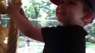 Finnian ODonnell Riding the Prospect Park Carousel [upl. by Andaira]