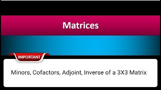 Minors Cofactors Adjoint Inverse of a 3X3 Matrix  Class 12th Hindi [upl. by Shanney]