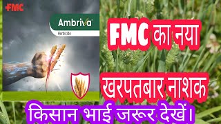 Ambriva herbicide । fmc launch new herbicide। fmc का नया खरपतबार नाशक। गेहूं के लिए। [upl. by Olav]