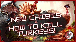 How To Kill Super Turkeys To Get Wishbones New Chibis Fjordhawk Stuffed Glowtail Turkey Trials [upl. by Lleon]