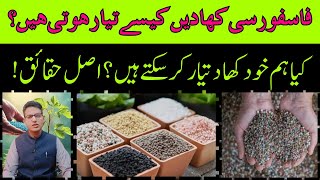 Preparing PhosphorusBased Fertilizers  فاسفورسی کھادیں کیسے تیا ر ہوتی ہیں  Cyber Agri Extension [upl. by Amory810]