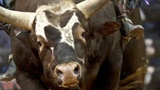 2014 PBR Season Recap World Champion Bushwacker [upl. by Aneras]