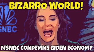 BIZARRO WORLD MSNBC BLASTS Economic Advisor to Joe Biden [upl. by Hoxsie318]