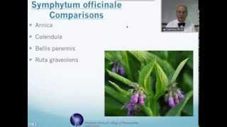 Symphytum officinale Homeopathic Medicine Tips For Beginners [upl. by Idnym705]