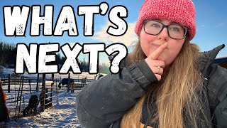 Whats Next for the Homestead  Homestead Plans VLOG [upl. by Llenej]