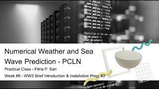 Pt 2 PCLN  WavewatchIII Installation [upl. by Odlavu]