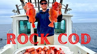 CALIFORNIA ROCKFISH CATCH CLEAN COOK  San Diego Fishing [upl. by Rhetta]