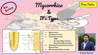 Mycorrhiza  Ecto  VAM  Orchidoid  Arbutiod  Monotropoid  Bsc  PDF  by VEX [upl. by Animlehliw]