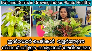 15 Tips to Grow Indoor Plants Healthy  Fertilizer  ഇൻഡോർ ചെടി ഭംഗിയോടെ വളർത്താൻ 15 ടിപ്സ് [upl. by Aloisius]