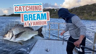 YAMBUK  FISHING IN YAMBUK BOAT RAMP  CAUGHT BREAM FISH [upl. by Dasya64]