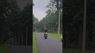 Continental Gt 650  Powe wheelie without clutch gt650 continentalgt650 youtuber ytshorts [upl. by Clea]