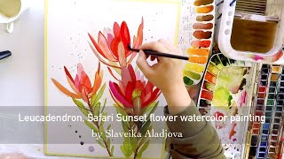 Leucadendron Safari Sunset flower watercolor painting by Slaveika Aladjova [upl. by Oznecniv130]