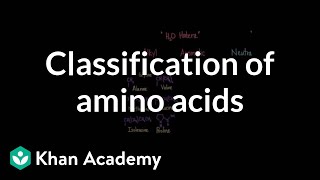 Classification of amino acids  Chemical processes  MCAT  Khan Academy [upl. by Ahsyad]